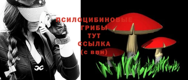 гидра Вязники