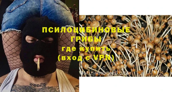 круглые Вязьма