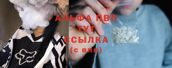 гидра Вязники