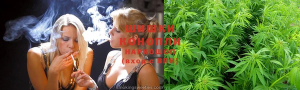 гидра Вязники